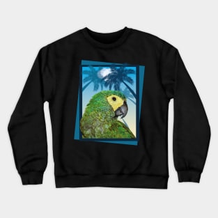 red-bellied macaw Crewneck Sweatshirt